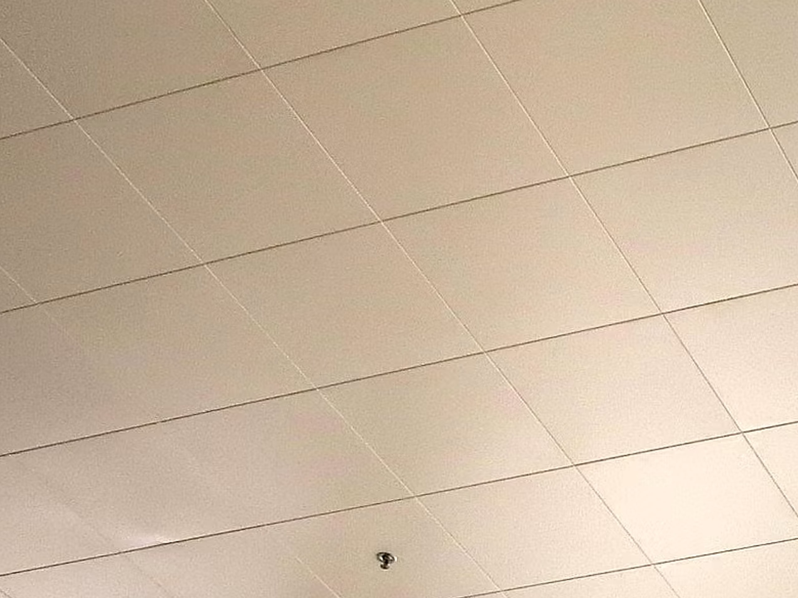 Clip-In Ceiling System